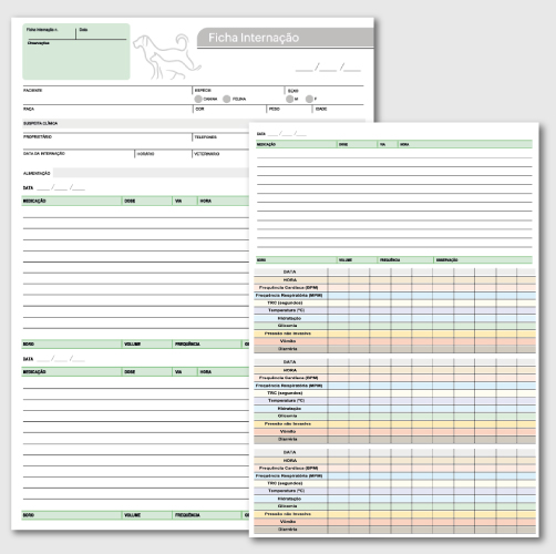 Ficha de Internação