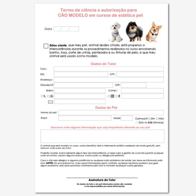 Cão Modelo de curso