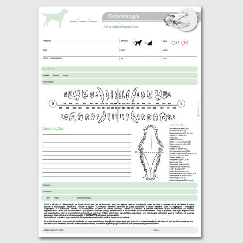 Odontologia Cães