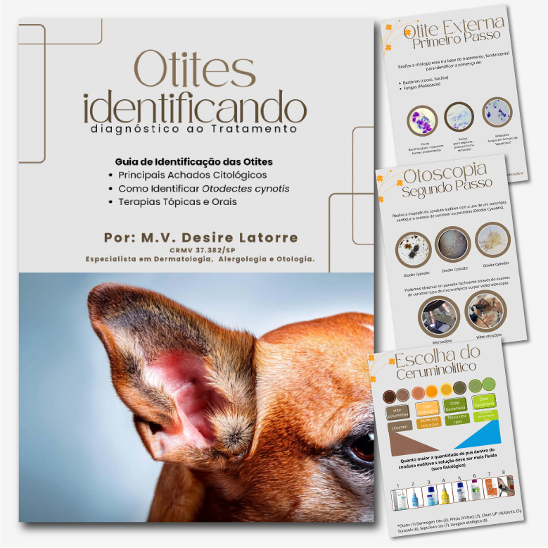 E-book Otites indentificando diagnóstico ao tratamento