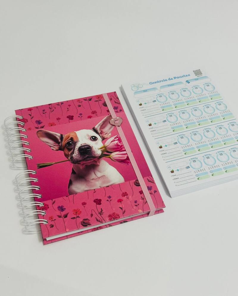 Caderno de Pacote