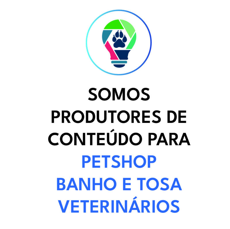 FINANCEIRO Banho e Tosa